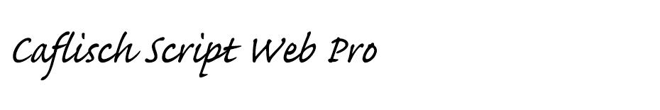 Caflisch Script Web Pro font
