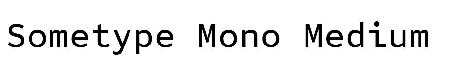 Sometype Mono Font font